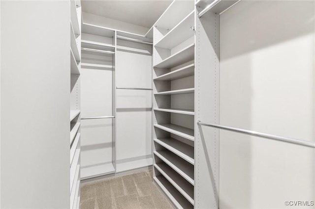 spacious closet featuring light carpet