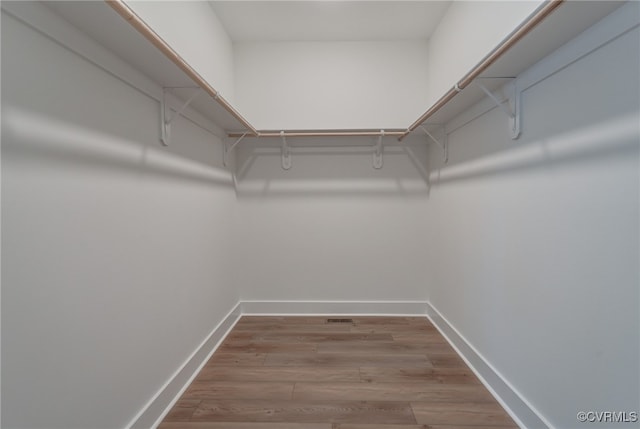 walk in closet featuring wood finished floors