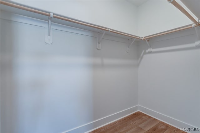 walk in closet featuring wood finished floors