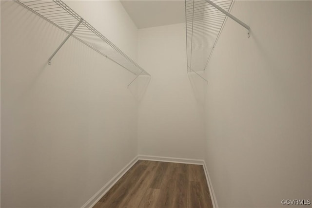 walk in closet featuring dark wood-type flooring