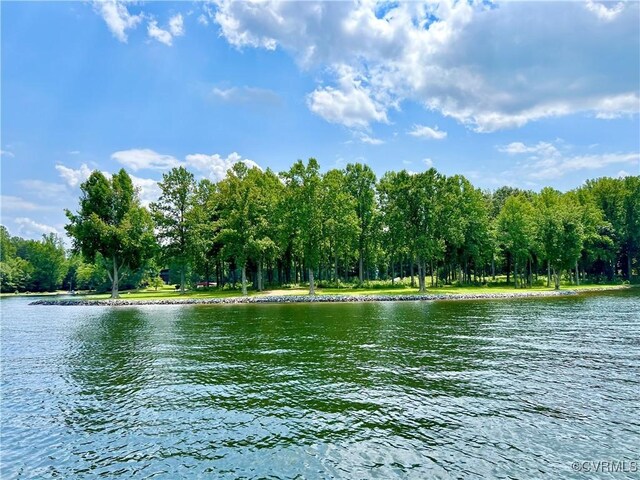 3349 Elk Creek Rd, Mineral, VA 23117 - photo 43