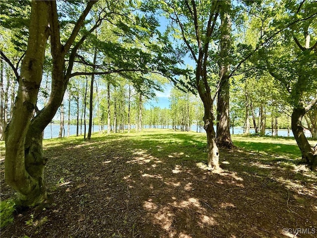3349 Elk Creek Rd, Mineral, VA 23117 - photo 48
