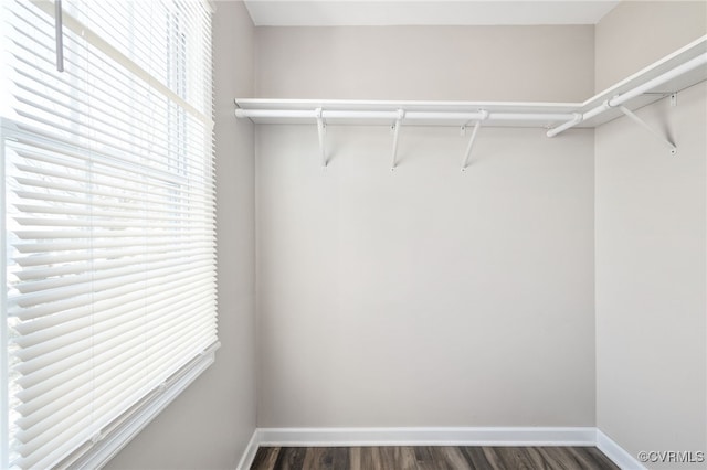 walk in closet featuring dark wood-style flooring