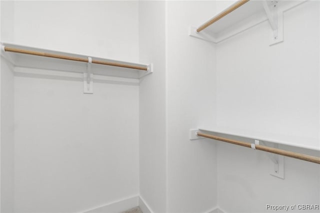 100 Bowsprit Ln, Wicomico Church, VA 22473 - view of walk in closet