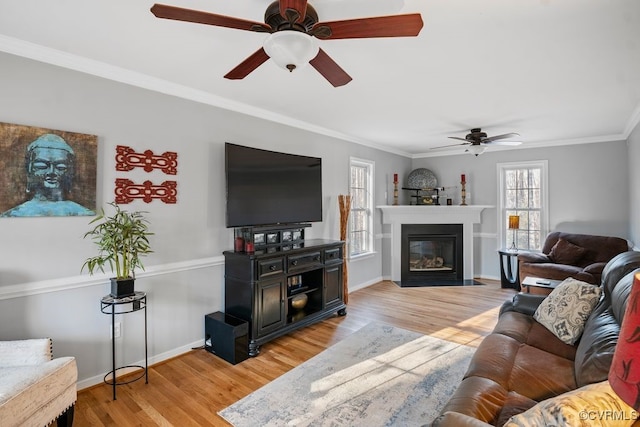 living area with baseboards, a ceiling fan, a fireplace with flush hearth, crown molding, and light wood-type flooring