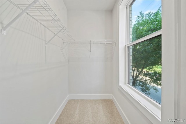 spacious closet featuring carpet floors