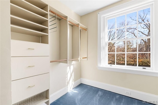 spacious closet with carpet floors