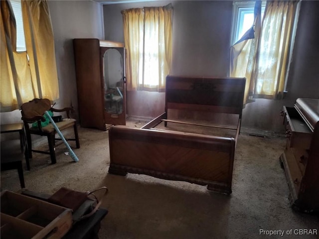 view of carpeted bedroom