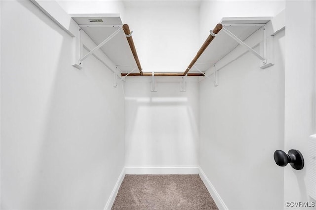 spacious closet with carpet flooring