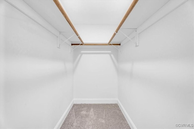 walk in closet featuring carpet flooring