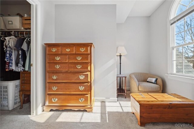 sitting room featuring plenty of natural light and carpet