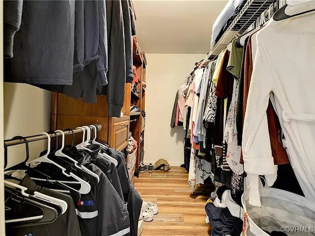 walk in closet featuring light wood finished floors