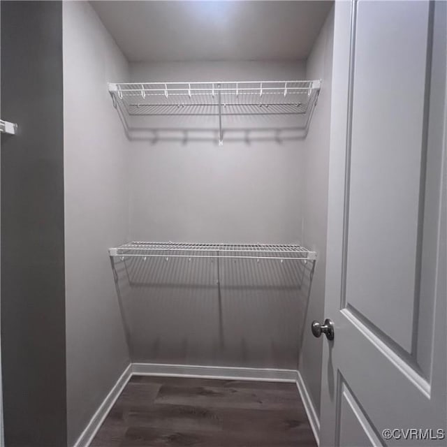 spacious closet with dark wood-style floors