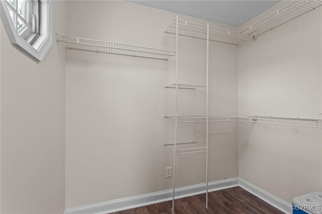 spacious closet with dark wood finished floors