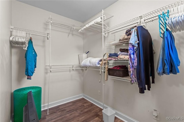 walk in closet featuring wood finished floors