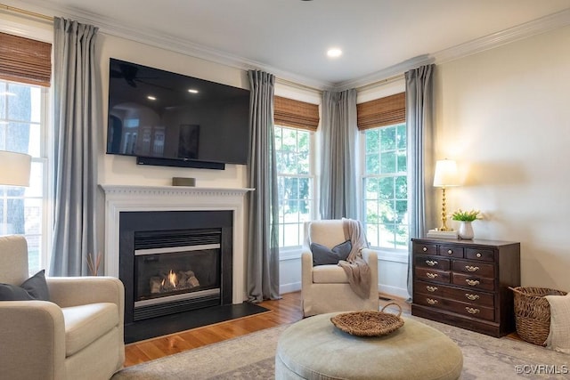 living area with a fireplace with flush hearth, wood finished floors, and crown molding