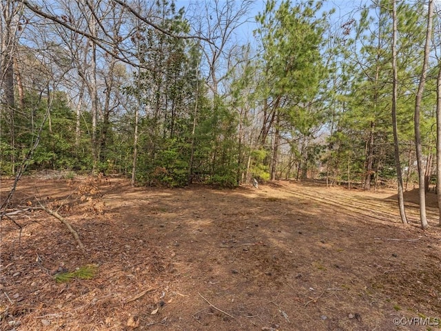 view of landscape with a wooded view