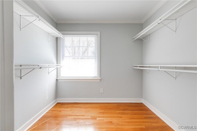 spacious closet featuring light wood-type flooring