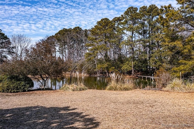 property view of water