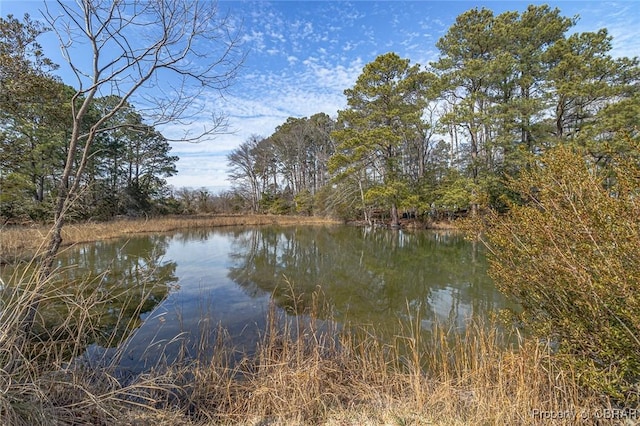 property view of water