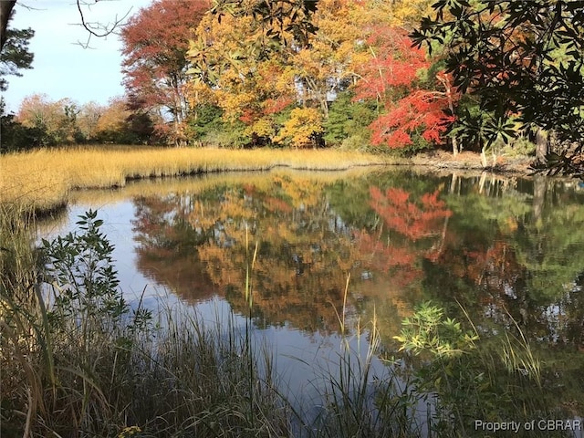 property view of water