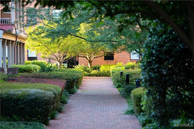 114 Cedar Works Row, Henrico, VA 23231 - view of property's community