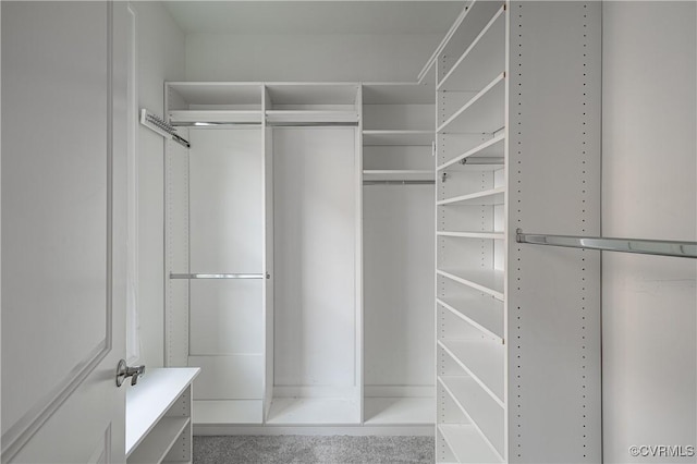 114 Cedar Works Row, Henrico, VA 23231 - view of walk in closet