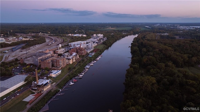 114 Cedar Works Row, Henrico, VA 23231 - drone / aerial view featuring a water view and a wooded view