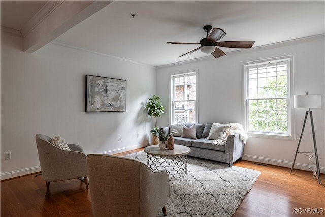114 Cedar Works Row, Henrico, VA 23231 - living room featuring crown molding, a ceiling fan, and wood finished floors