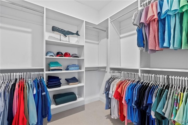 spacious closet featuring carpet