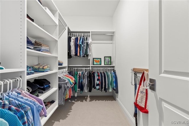 walk in closet featuring carpet