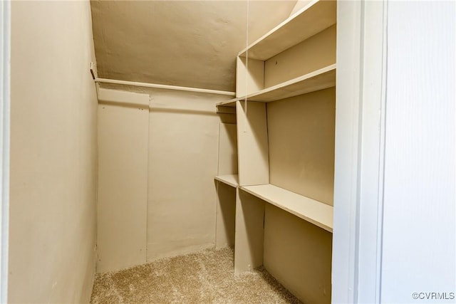 spacious closet featuring light carpet