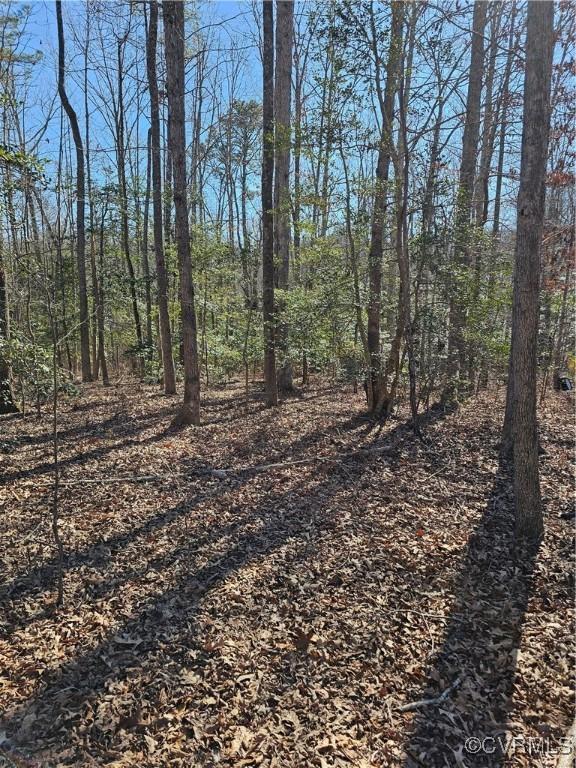 9021 Hickory Rd, Petersburg VA, 23803 land for sale