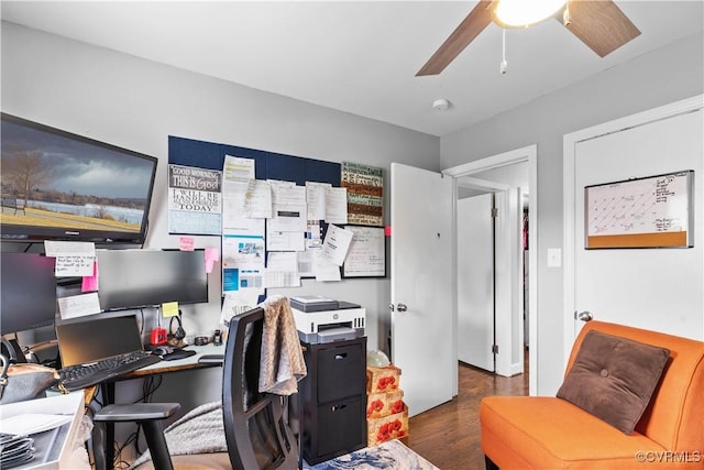 office featuring ceiling fan and dark wood finished floors