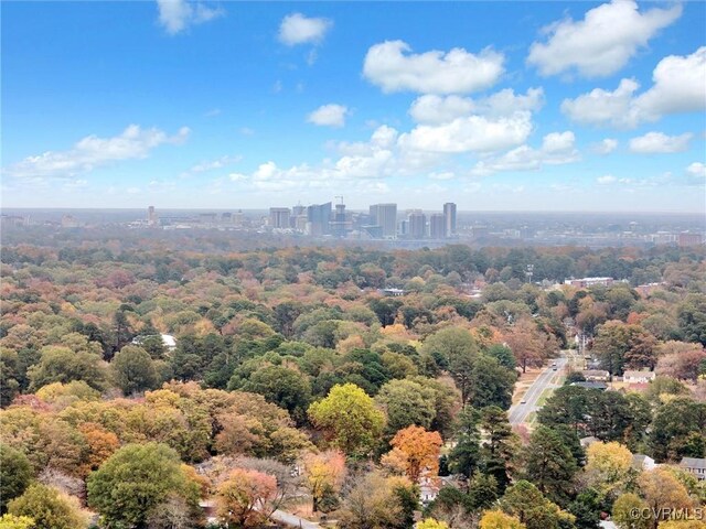 bird's eye view with a view of city