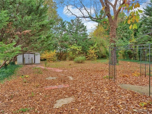 view of yard with a storage unit and an outdoor structure