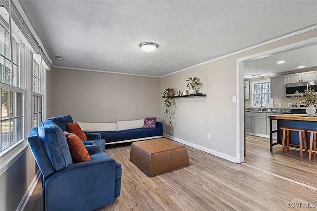 living area with baseboards, a textured ceiling, light wood-style flooring, and crown molding