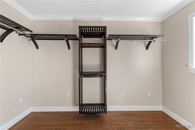 spacious closet featuring wood finished floors