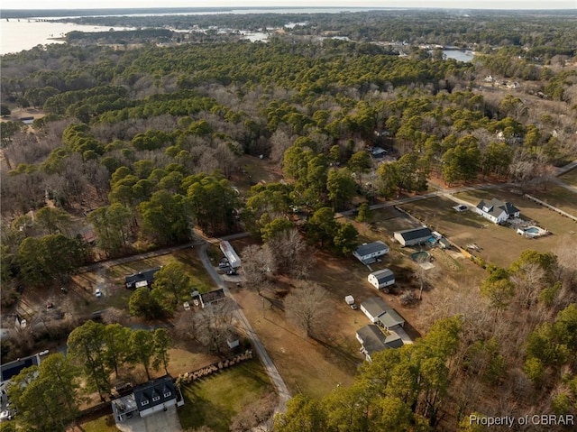 bird's eye view featuring a water view and a view of trees