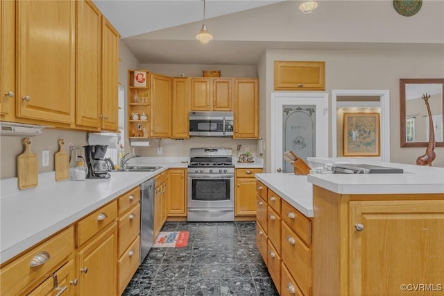 kitchen with stainless steel appliances, a sink, and light countertops