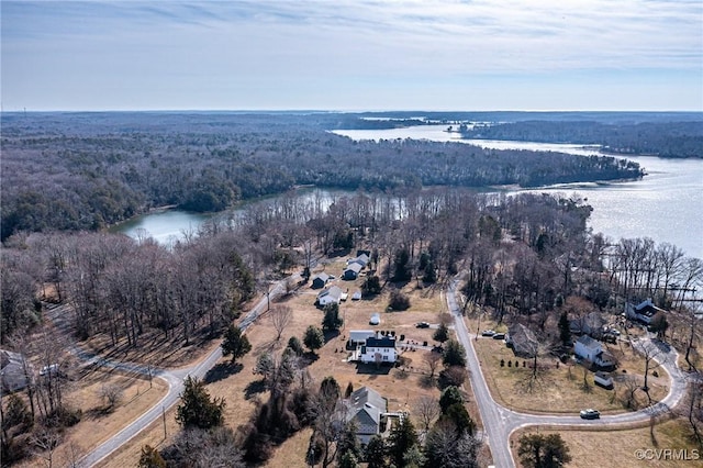 bird's eye view with a water view and a wooded view