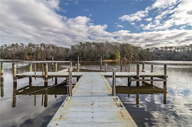 dock area featuring a water view and a view of trees