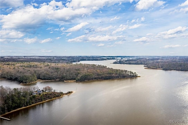 bird's eye view featuring a water view and a view of trees