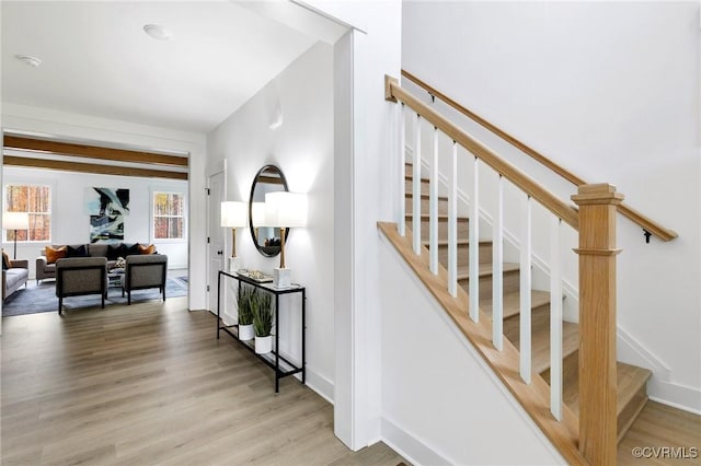 staircase featuring wood finished floors