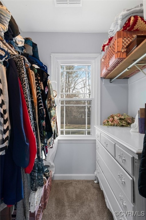 spacious closet with carpet