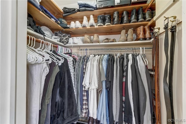 view of spacious closet