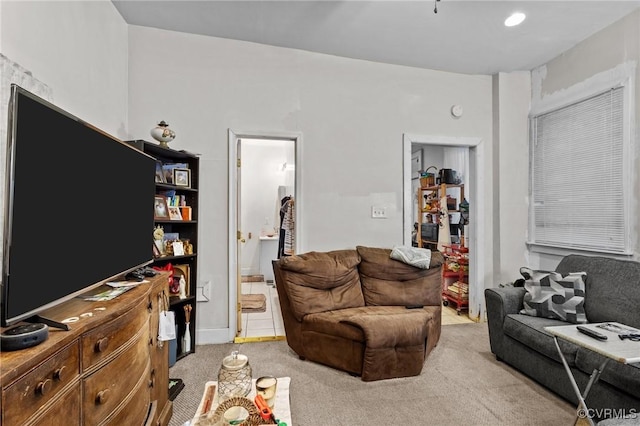 living room featuring light colored carpet