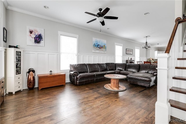 living area featuring dark wood finished floors, wainscoting, stairs, crown molding, and ceiling fan with notable chandelier