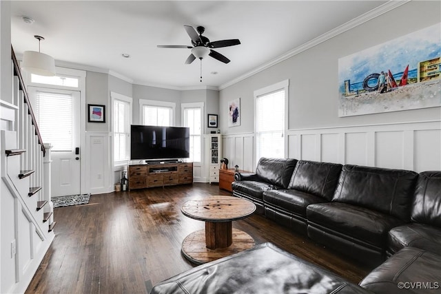 living room with dark wood-style flooring, crown molding, wainscoting, ceiling fan, and stairs