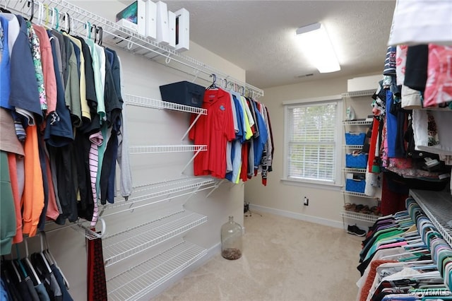 spacious closet featuring carpet